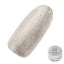 Dna GEL grittyGel エクラシルバー 2.5g
