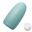 Dna Gel カラージェル 2.5g MG12