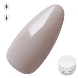 Dna Gel カラージェル 2.5g N32