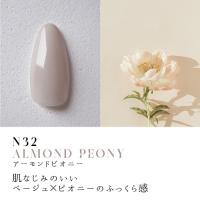 Dna Gel カラージェル 2.5g N32