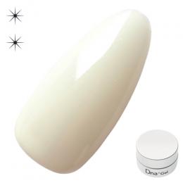 Dna Gel カラージェル 2.5g N31