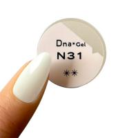 Dna Gel カラージェル 2.5g N31