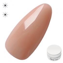 Dna Gel カラージェル 2.5g N34