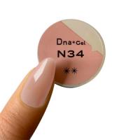 Dna Gel カラージェル 2.5g N34