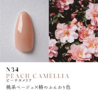 Dna Gel カラージェル 2.5g N34