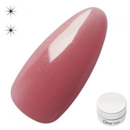 Dna Gel カラージェル 2.5g N35