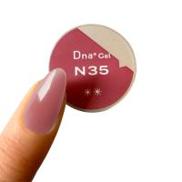 Dna Gel カラージェル 2.5g N35