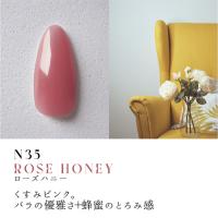 Dna Gel カラージェル 2.5g N35