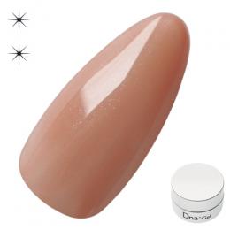 Dna Gel カラージェル 2.5g N36