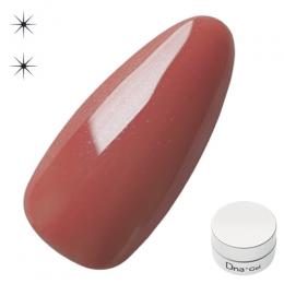 Dna Gel カラージェル 2.5g N37