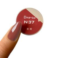Dna Gel カラージェル 2.5g N37
