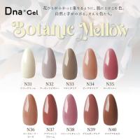 Dna Gel カラージェル 2.5g N37