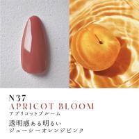 Dna Gel カラージェル 2.5g N37