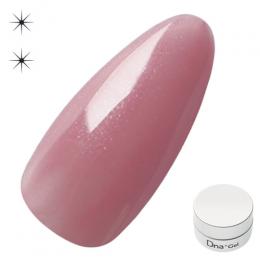 Dna Gel カラージェル 2.5g N38