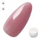 Dna Gel カラージェル 2.5g N38