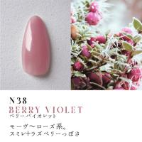 Dna Gel カラージェル 2.5g N38