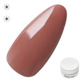 Dna Gel カラージェル 2.5g N39