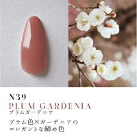 Dna Gel カラージェル 2.5g N39