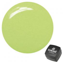 KOKOIST カラージェル 2.5g E-125