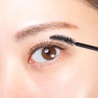 プロラッシュ PHENIXカールアップコーティング8ml 12本