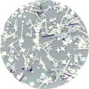 Charlon ミラーホロ スパークルミックス