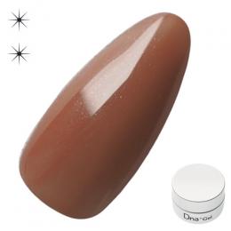 Dna Gel カラージェル 2.5g N40