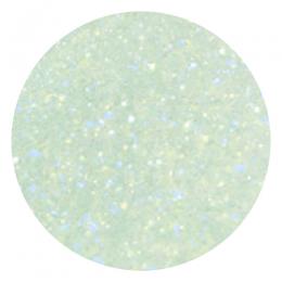 グリッターパウダー S-9 4g