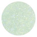 グリッターパウダー S-9 4g