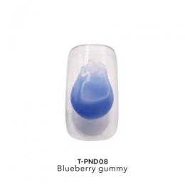 TOYs nendo gel 8g T-PND08ブルーベリーグミ