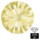 プレシオサ SS34 Vカットジャンキル 8P