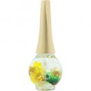 ベリンダ キューティクルオイル プルメリア 12ml