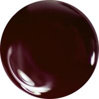 ZOYA ZP451