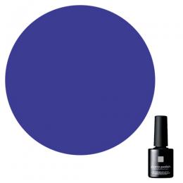 PPF035 パラポリッシュ F035 ネイビー