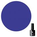 PPF035 パラポリッシュ F035 ネイビー