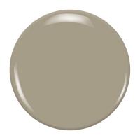 ZOYA ZP827