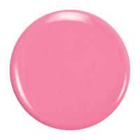 ZOYA ZP840