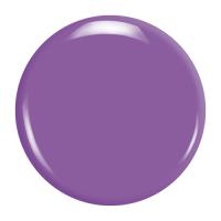 ZOYA ZP888