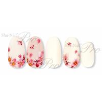 写ネイル NEO SAKURA NSA-001
