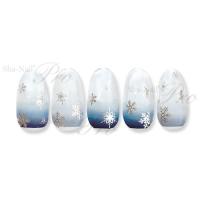 写ネイル+ Blink Snowflakes SV BS-P02