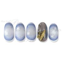 写ネイル+ Blink Snowflakes SV BS-P02