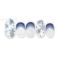 写ネイル+ Blink Snowflakes SV BS-P02