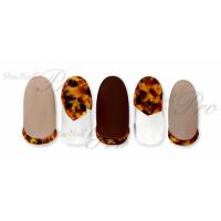 写ネイル+F Tortoise Shell FR-RTS01