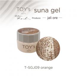 TOYsXINITY スナジェル 5g T-SGJ09 オレンジ