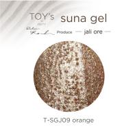 TOYsXINITY スナジェル 5g T-SGJ09 オレンジ