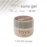 TOYsXINITY スナジェル 5g T-SGJ09 オレンジ