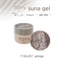 TOYsXINITY スナジェル 5g T-SGJ07 グレージュ