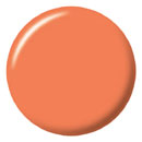 スウィートサンシャイン カラージェル 10g SC-91