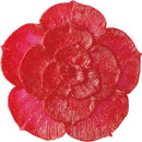 アイスジェル ココジェル CC-002