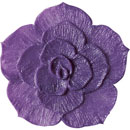 アイスジェル ココジェル CC-010