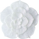 アイスジェル ココジェル CC-012